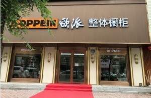 公司介绍