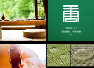 公司介绍