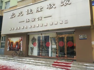 公司介绍